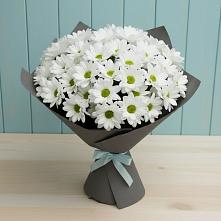 Букет цветов из:  Хризантемы в Покровское Рузского района