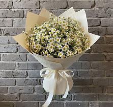 Букет цветов из:  Ромашки в Покровское Рузского района