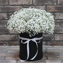 Цветочная композиция из Гипсофила в шляпной коробке #REPLACE_PRED# Покровское Рузского района