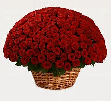 Премиум букет из: Розы #REPLACE_PRED# Покровское Рузского района